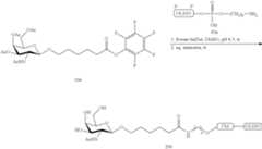 Figure US09181550-20151110-C00353