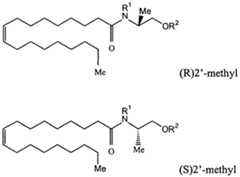 Figure imgf000019_0002