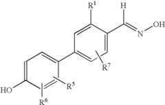 Figure US07279600-20071009-C00005