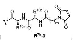 Figure imgf000112_0004