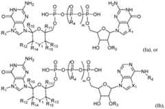 Figure imgf000013_0001