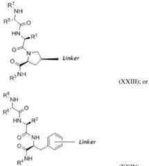 Figure imgf000036_0001
