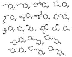 Figure 112007011503269-PCT00030