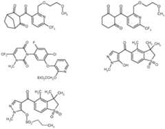 Figure imgf000059_0001