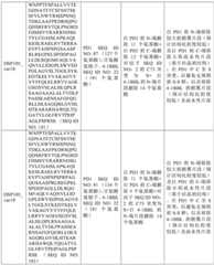 Figure BDA0002939076220001881