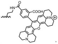 Figure BDA0003670511740000931