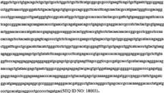 Figure BPA0000291811450000493