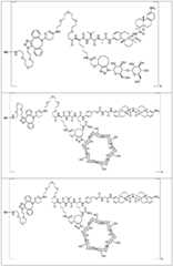 Figure FDA0002889616210000501