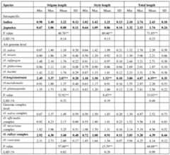 Figure imgf000037_0001