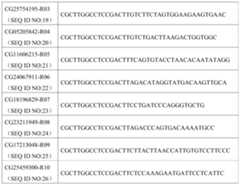 Figure PCTCN2019092116-APPB-000015