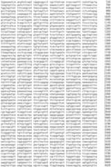 Figure IDA0002536600790000851