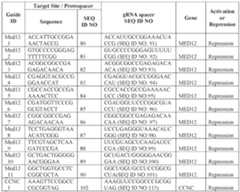 Figure imgf000282_0002