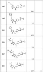 Figure BDA0001316473010002001