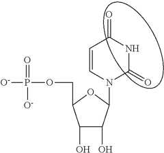 Figure US10501513-20191210-C00089