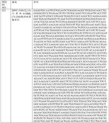 Figure BDA0001868160740001932