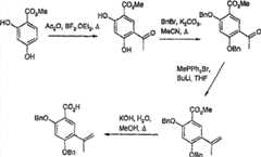 Figure S2006800208056D00891