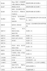 Figure BDA0001878096640000661