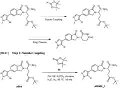 Figure imgf000259_0002