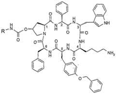 Figure imgf000011_0001