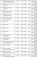 Figure imgf000444_0001