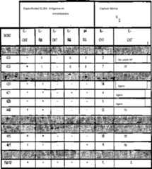 Figure imgf000045_0001