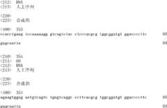 Figure IDA0000059233440000601