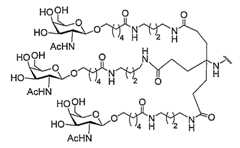 Figure 2023113843000461