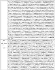 Figure imgf000227_0001