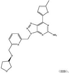 Figure BDA0002569083360000062