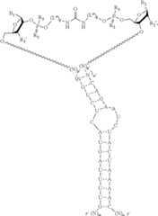 Figure US12338436-20250624-C00433