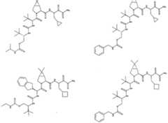 Figure imgf000250_0002