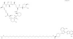 Figure US12048749-20240730-C00572