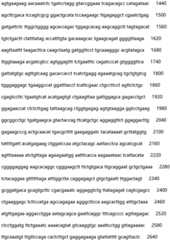 Figure IDA0002935257620000321