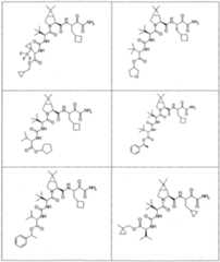 Figure imgf000187_0001
