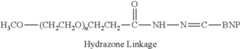 Figure US08449872-20130528-C00118