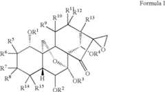 Figure US07351739-20080401-C00025