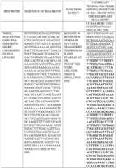 Figure imgf000334_0001