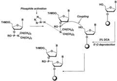 Figure imgf000039_0001