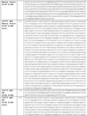 Figure imgf000086_0001