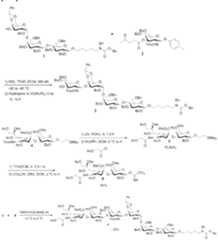 Figure imgf000146_0001