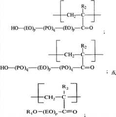 Figure BPA00001187520000092