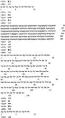 Figure ISA0000187956010000301