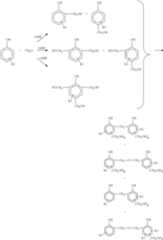 Figure US08372916-20130212-C00003