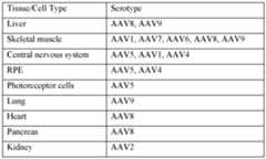 Figure imgf000065_0001