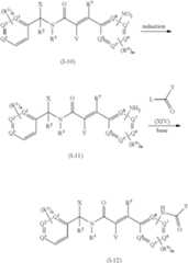 Figure US08889878-20141118-C00018