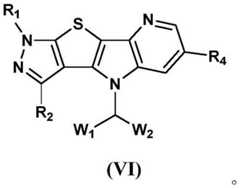 Figure BDA0002170659700000103