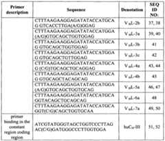 Figure imgf000025_0001
