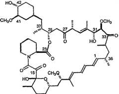 Figure A20071009367900041