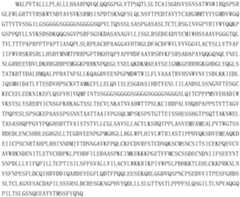 Figure PCTCN2022122839-appb-000020