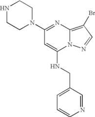 Figure US07119200-20061010-C01545